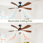 Ceiling Fan & DC Motor And Integrated Light