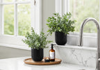 11" Tall, Artificial Plant, Eucalyptus Grass, Indoor, Faux, Fake, Table, Greenery, Potted, Decorative (Set of 2) - Green / Black