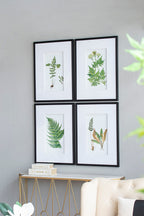 Botanical And Fern Wall Art, Wall Decor For Living Room Dining Room Entryway (Set of 4) - White / Black