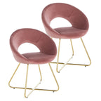 Modern Accent Lounge Chair