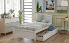 Platform Bed & Headboard, Footboard And Wood Slat Support