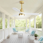 Indoor Ceiling Fan With Dimmable LED Light, 6 Speed Remote ControlLED DC Motor, Reversible Blades