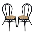 Rattan Dining Chair (Set of 2) - Black Multi