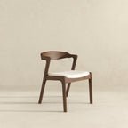 Dakota - Mid-Century Modern Dining Chair (Set of 2)