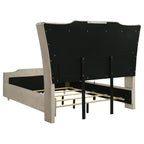 Lorient 5-piece Queen Bedroom Set Ivory and Camel