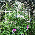 Metal Garden Rustproof Trellis For Climbing Plants Outdoor Flower Support