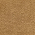 Aleisha 2-piece Fabric Upholstered Sofa Set Mustard Yellow