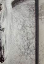 Archerwick - Wall Art - Black / White