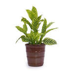 3 Pieces Flowerpot, Planter For Patio, Garden Or Windowsills