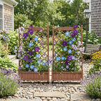 Raised Garden Bed With Trellis 2 Pack, Outdoor Planter Box & Plant Stand With Climbing Racks - Brown