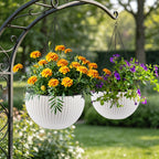 Self Watering Hanging Planter