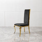 Dining Chair (Set of 2) With Unique Backrest Stainless Steel Legs - Gold