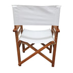 Folding Director Chair